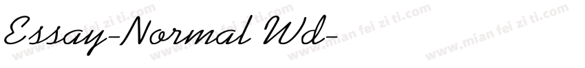 Essay-Normal Wd字体转换